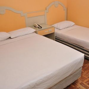 Premium Twin Room